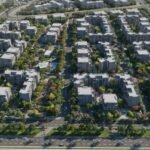 بادية بالم هيلز