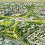 بادية بالم هيلز