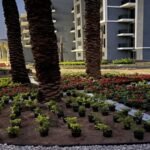 مميزات sun capital