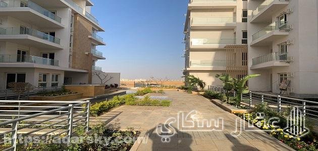 أهم المواقع الحيوية القريبة من ماونتن فيو اى سيتى اكتوبر