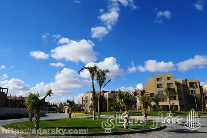 الشركة المطورة لمشروع بالم باركس