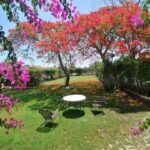 Marina Villa North Coast Egypt