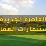 القاهرة الجديدة للاستثمارات العقارية