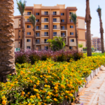 مميزات الاستثمار في مساكن الأشجار