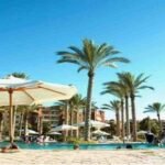 مميزات M8 New Alamein