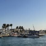 الشركة المطورة لمشروع مارينا العلمين الجديدة M8 New Alamein