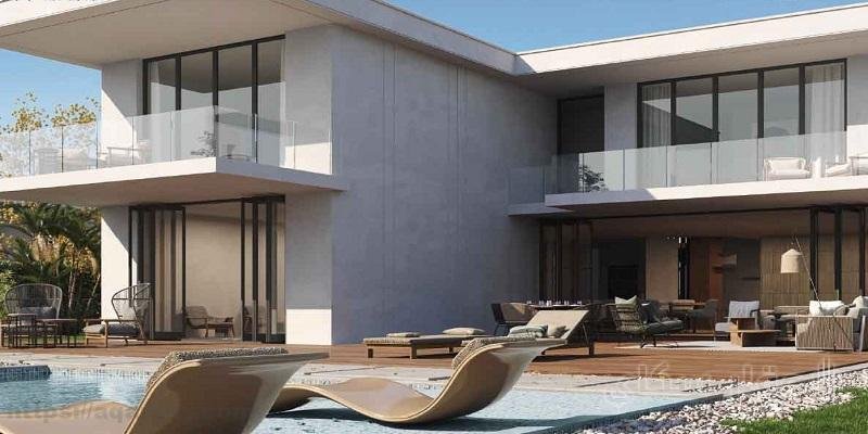 قرية دايركشن وايت