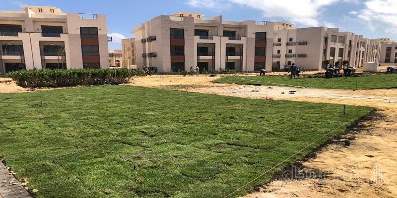 الشركة المطورة لمشروع جايا رأس الحكمة