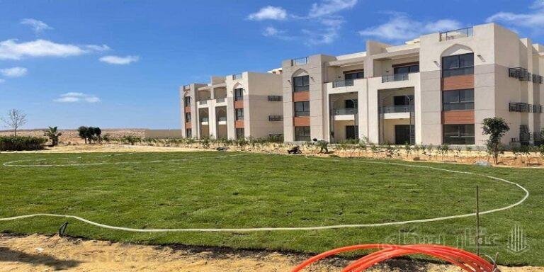 جايا رأس الحكمة