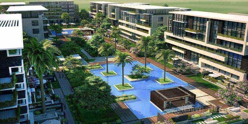 موقع The Capital Way