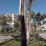 اسعار كمبوند سيليا العاصمه الاداريه