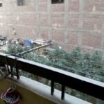 لهواة التميز شقة بالمريوطية فيصل 3 دقائق من مطلع الدائري
