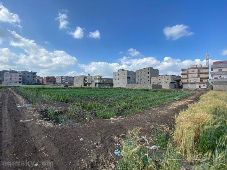 أرض زراعية للبيع وسط كاردون المباني في المنصورة قرية النسيمية الدقهلية | فرصه 2026