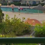 شاليه للايجار في راس سدر | قرية ڤرچنيا قريب جدا للبحر