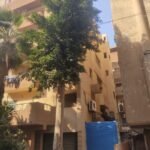 عماره للبيع في الزقازيق فلل الجامعه على اول الشارع الغزاوى 300 متر