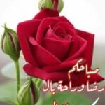 ارض للبيع في المستقبل سيتي | مرحلة اولي 1000فدان