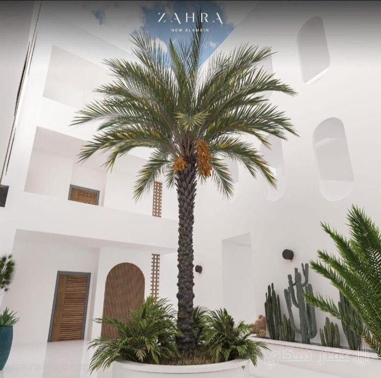 شاليه للبيع في زهرة للعلمين الكيلو 124