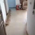 شقه للبيع من المالك | بيتشو امريكان سيتى زهراء المعادى