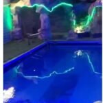 شالية  فيلا للايجار طابيقين بالبسين والحديقة