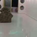 شقة 182م بالمريوطية استلام فوري وتشطيب سوبر لوكس