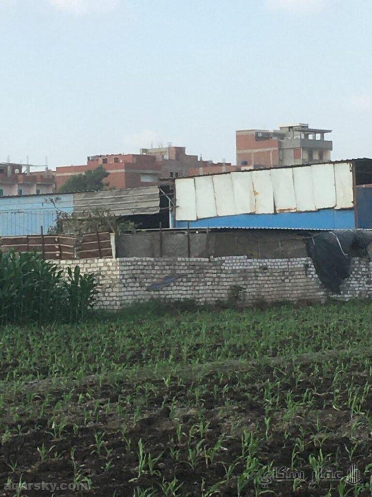 ارض تجاريه للبيع بنيفيا | طريق صناديد طنطا الغربيه