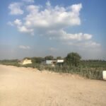 ارض تجاريه للبيع بنيفيا | طريق صناديد طنطا الغربيه