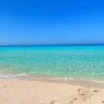 شالية للبيع في الساحل الشمالي | راس الحكمه