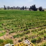 5 فدان أرض مميزة بالاسماعيليه على طريق الصالحية الجديدة مصر الإسماعيلية