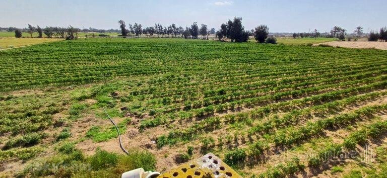 5 فدان أرض مميزة بالاسماعيليه على طريق الصالحية الجديدة مصر الإسماعيلية