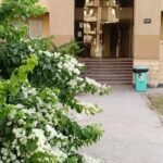 شقة للبيع بالتجمع الخامس للتنازل الفوري سوبر سوبر لوكس السعر قابل للتفاوض