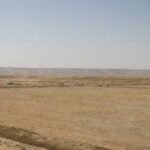 قرية الشرفا تقسيم المليجي بجوار مصنع الطوب