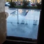 الشيخ زايد بمول زهرة المدائن وكمبوند لجندرا ومول الداون تاون