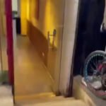 محل للبيع بالمهندسين شارع الحجاز