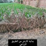 قطعة أرض مميزة للبيع في محافظة الجيزة مركز البدرشين