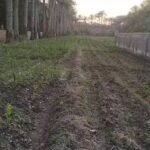 قطعة أرض مميزة للبيع في محافظة الجيزة مركز البدرشين