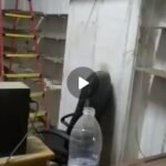 محل تجاري للبيع في عين شمس