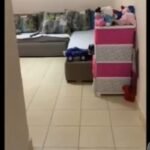 شقه بسعر لقطه للبيع | قبل محور المشير ♦️ مدينة نصر