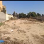 ارض فضاء للبيع كنج مريوط | طريق برج العرب 500متر