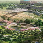 بالم هيلز نيو كايرو