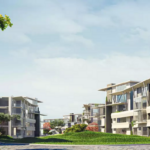 Compound Leaves 6 October