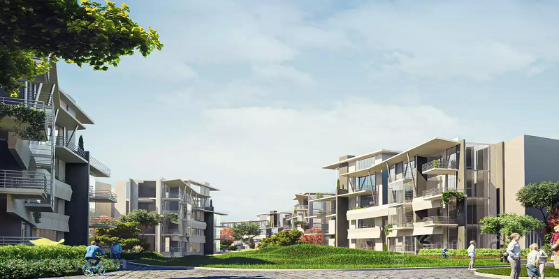 Compound Leaves 6 October