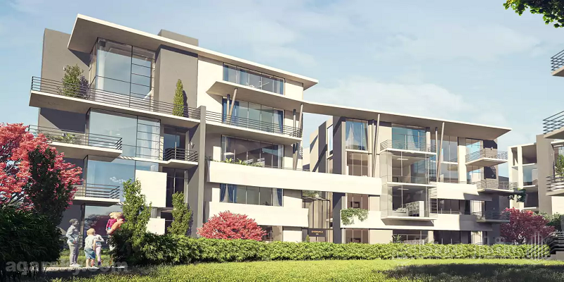 Compound Leaves 6 October