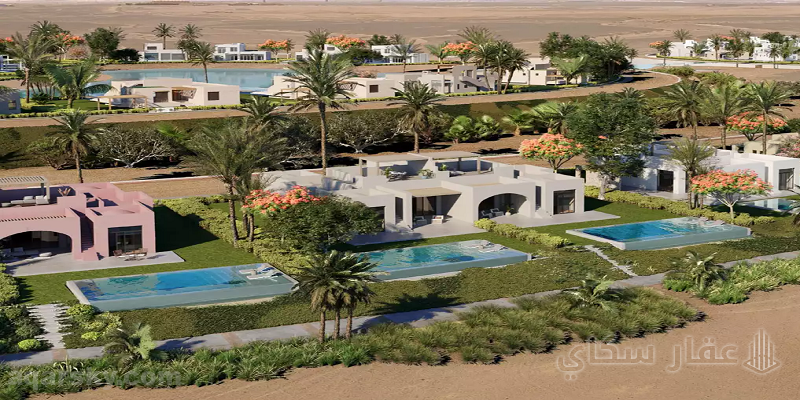 ذا ناينز الجونة