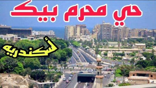 سعر المتر في محرم بك سعر المتر في محرم بك