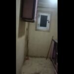 ميامي الاسكندريه