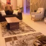 الدولي للعقارات للايجار الشقق المفروشة بالمهندسين والدقى