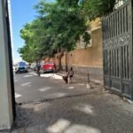 شقة للبيع بكمبوند ريزيدنس كفر عبده الاسكندريه