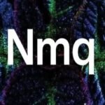 تصميم مول نمق الشيخ زايد Mall Nmq Sheikh Zayed