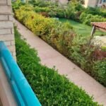 شاليه علوى للبيع من المالك الساحل الشمالى 4,400,000 تقسيط