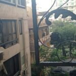 فرصة للسكن المميز و الرقى